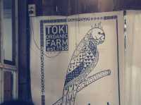 Toki Coffee 1968