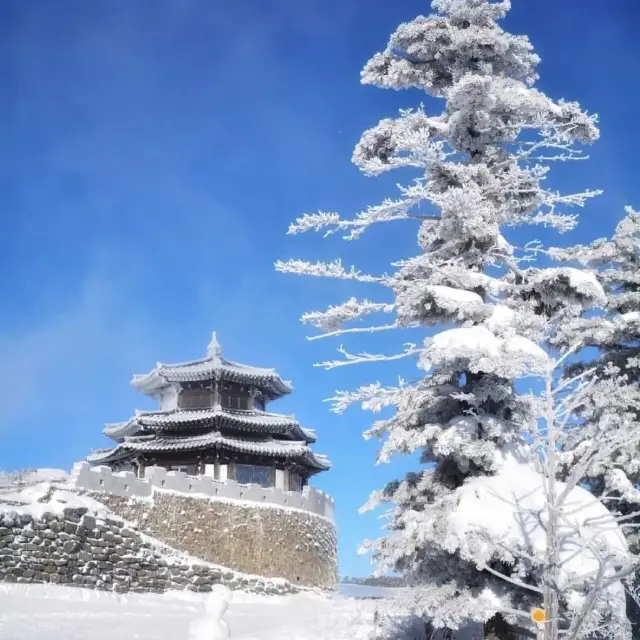 The Beauty of Deogyusan NationalPark inWinter