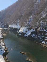 【岐阜】七間飛吊橋