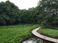 The Tsukuba Botanical Garden 