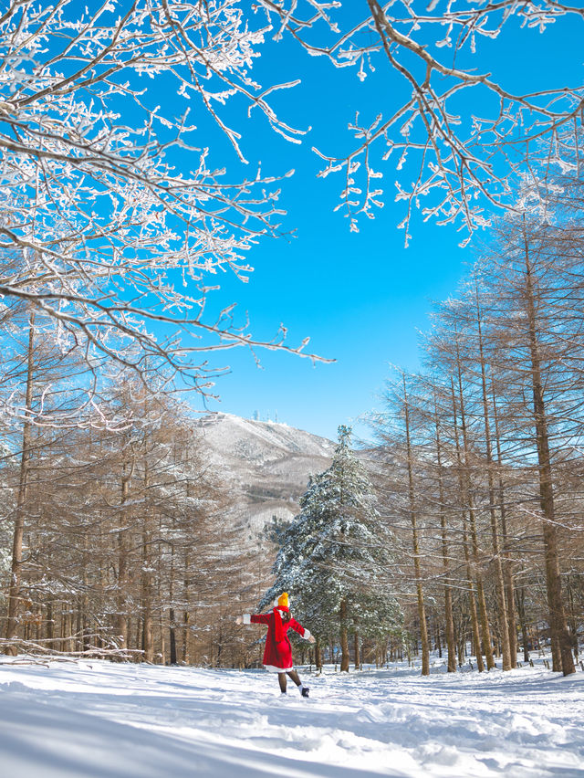 겨을 눈꽃여행하면 빼놓을 수 없는 만항재🗻