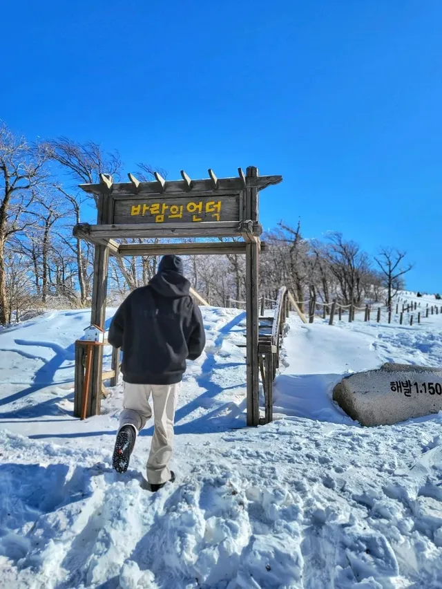 그냥 서있기만 해도 그림이 되는 겨울여행은 여기 ✨️