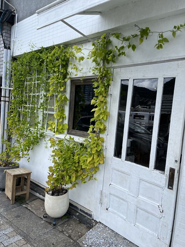 【福岡カフェ】隠れ家のような可愛いカフェ☕️