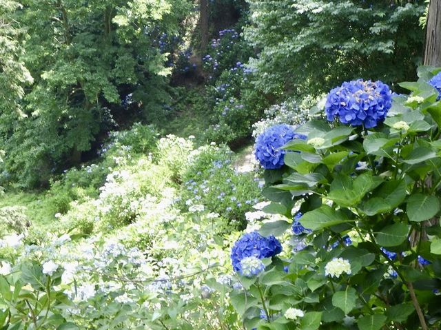 Hinuma Nature Park