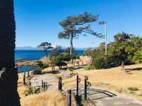Beautiful Scenic Spot