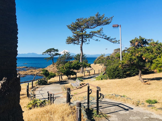 Beautiful Scenic Spot
