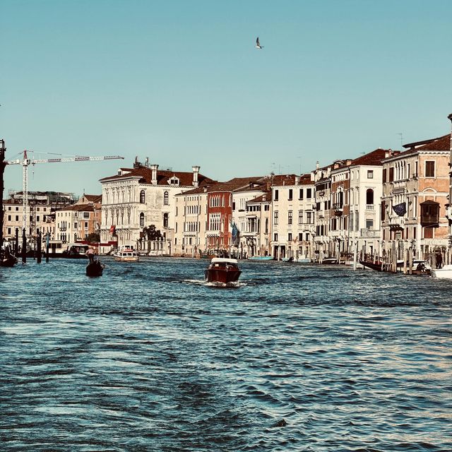 Why Should you consider a trip to Venice? 🇮🇹