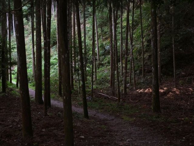 【吉野鷲家口】（奈良県東吉野村　旧国名：大和）