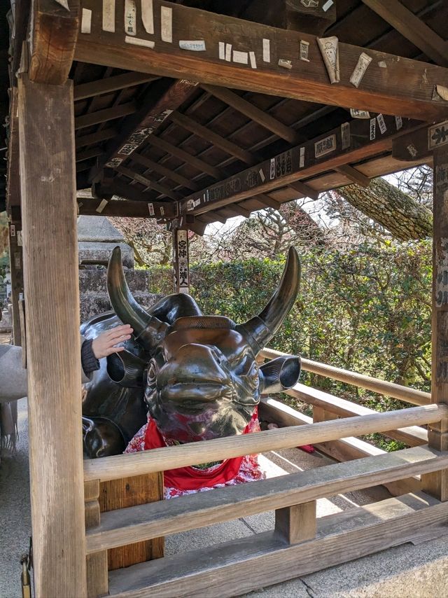 北野天満宮【北野の花手水】撫で牛の両脇の生花が華やかで綺麗