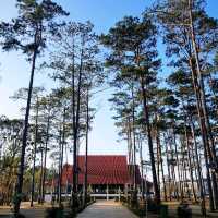 Mang Den - fairyland in Tay Nguyen