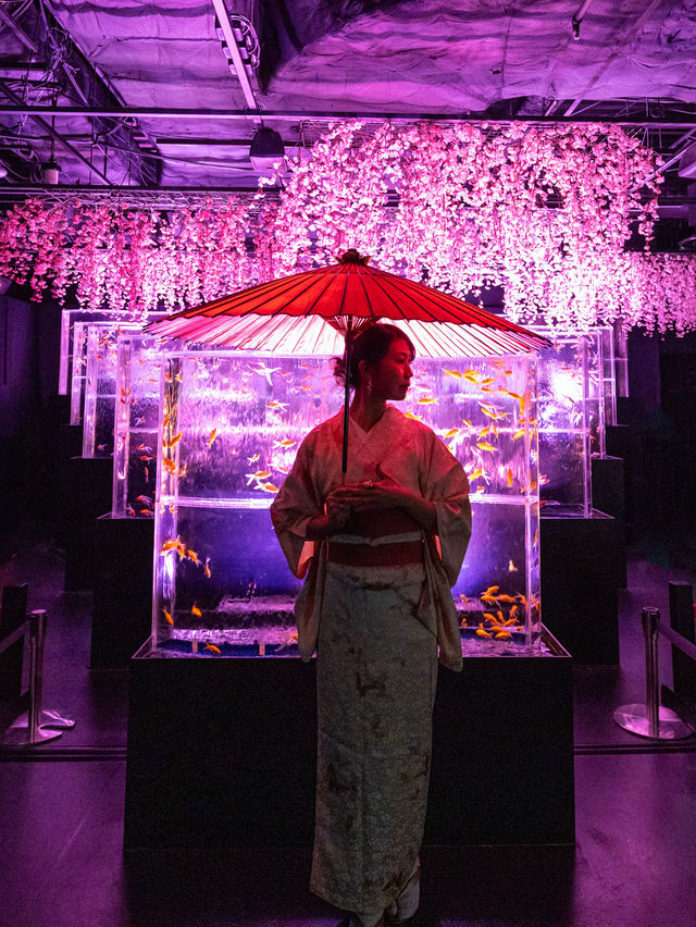 アートアクアリウム美術館 GINZA  『めっちゃ桜2024』🌸🐠🌸🐠🌸 