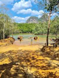 Krabi Elephant Shelter (Sanctuary)