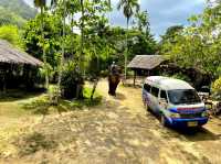 Nosey Parker's Elephant Camp