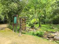 Khao Phanom Bencha National Park