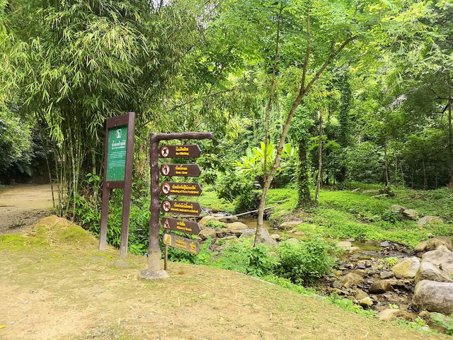Khao Phanom Bencha National Park