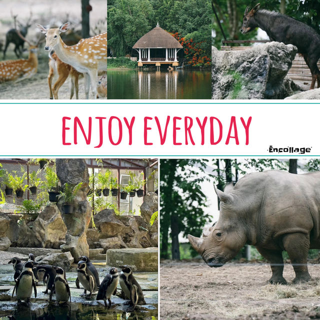 【倫敦動物園】值回票價的絕佳動物園