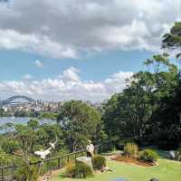 Must Do Taronga Zoo