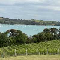 뉴질랜드 와이헤케 아일랜드(Waiheke Island) 여행 후기 🍷