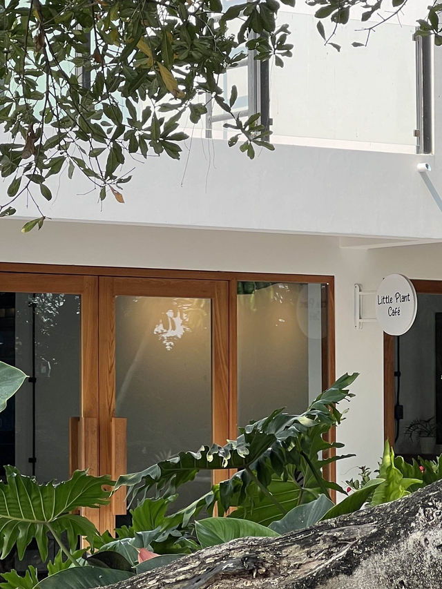 Little Plant Café & Wake Park