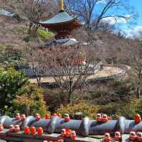 katsuoji temple