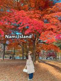Autumn in Nami Island 🍂 