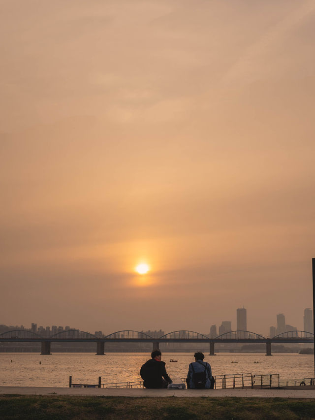 시원한 한강 풍경을 보며 피크닉 하기 좋은 곳“반포 한강공원” 