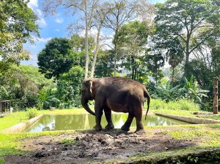 Bandung Zoological Garden
