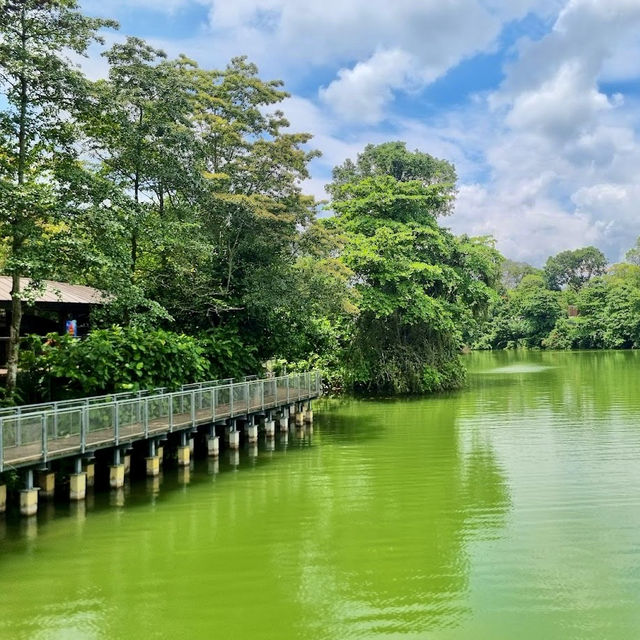 River Wonders