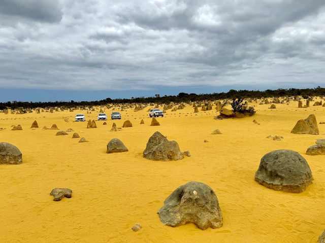 The Pinnacles Desert