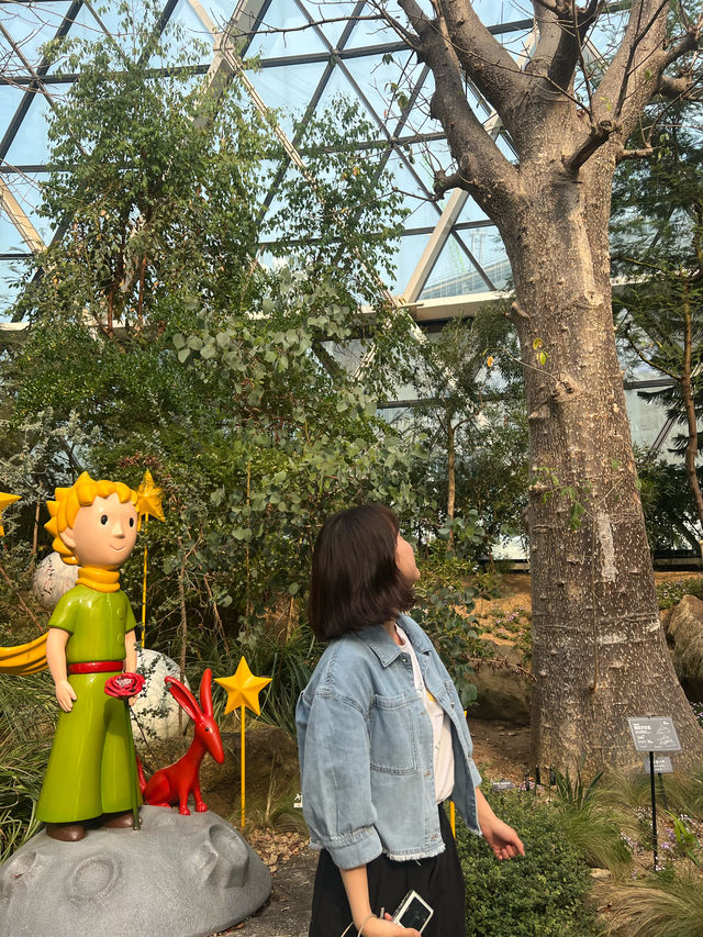 서울 식물원 방문 후기 🌿✨