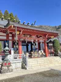 【大山阿夫利神社/神奈川県】春は華やかな枝垂れ桜のもとで参拝