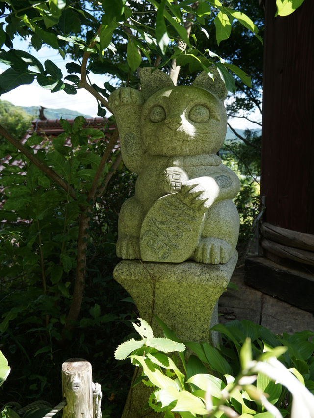 【山口】猫好きさん必見！猫だらけのお寺♡