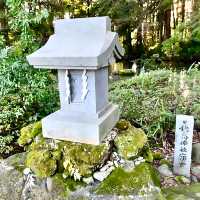 【穂高神社/長野県】海神族の祖神と船を司る