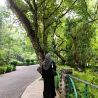 Zoo visit