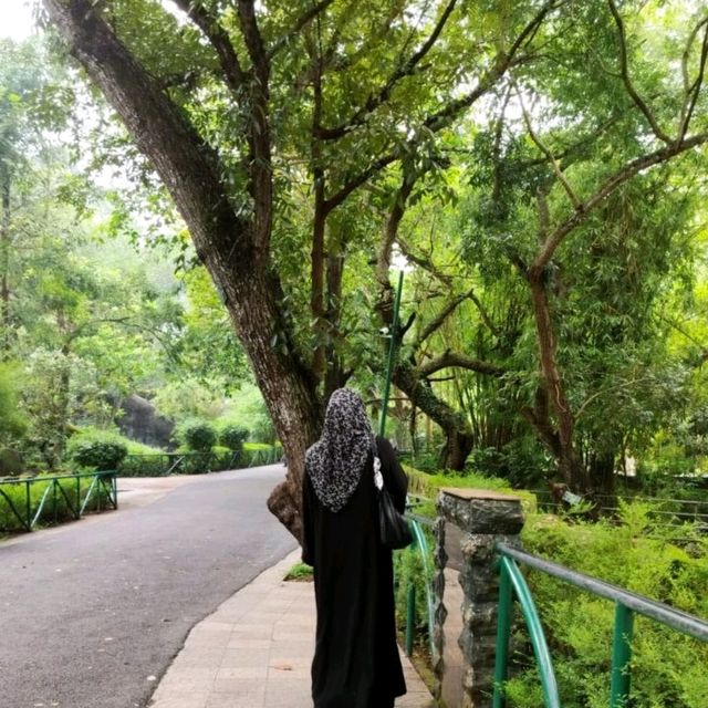 Zoo visit