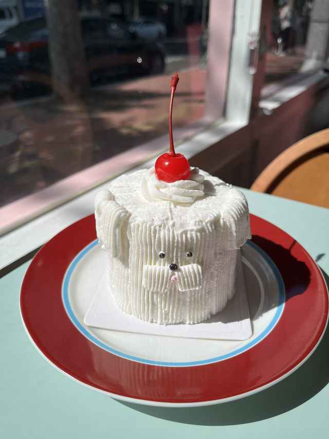 【韓国　ソンス】マルチーズの可愛いケーキが食べれるカフェ