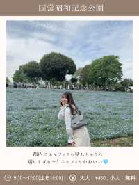 都内で自然感じるおでかけプラン〜ネモフィラ・チューリップ〜【立川】