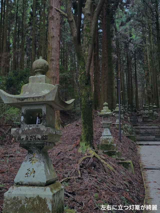 【まるで異世界⛩️✨阿蘇のパワースポット】
