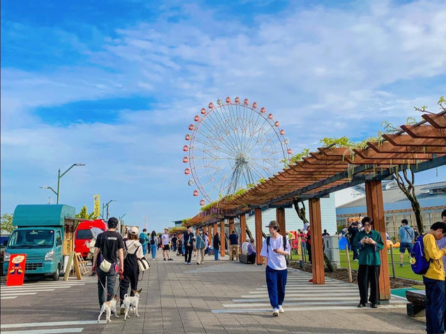 ดอกวิสทีเรีย (Wisteria) ที่เมืองKariya 🌆🎡🪻