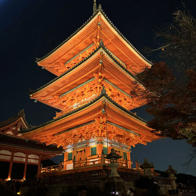 kiyomizu dera illumination 🏮🍁