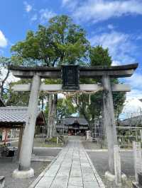 【京都府】御神木に護られた縣(あがた)神社