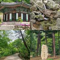 【首爾】Yongmunsan Tourist Site：1086年銀杏樹，韓國必去打卡點