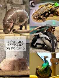 【大阪】水族館・動物園をartとして子供も大人も楽しめる体験型 「生きているミュージアム」