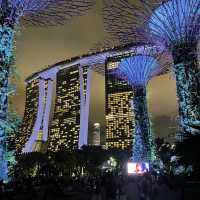 Gardens by the Bay Supertree Grove