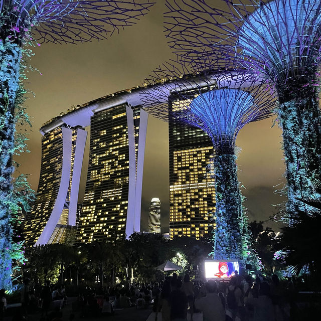 Gardens by the Bay Supertree Grove