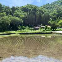 迷人的白川鄉