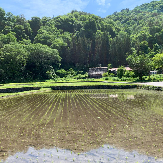 迷人的白川鄉