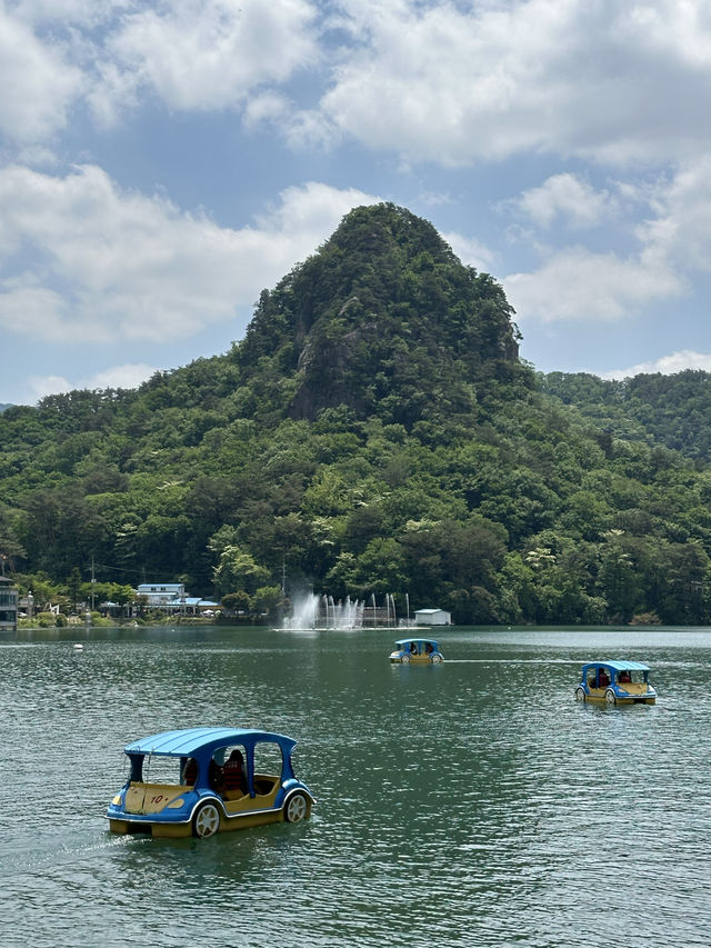 서울 근교, 포천에서 🏝️ 여름을 풍성하게 느껴볼 수 있는 여름 나들이 여행지 추천 ! 💫