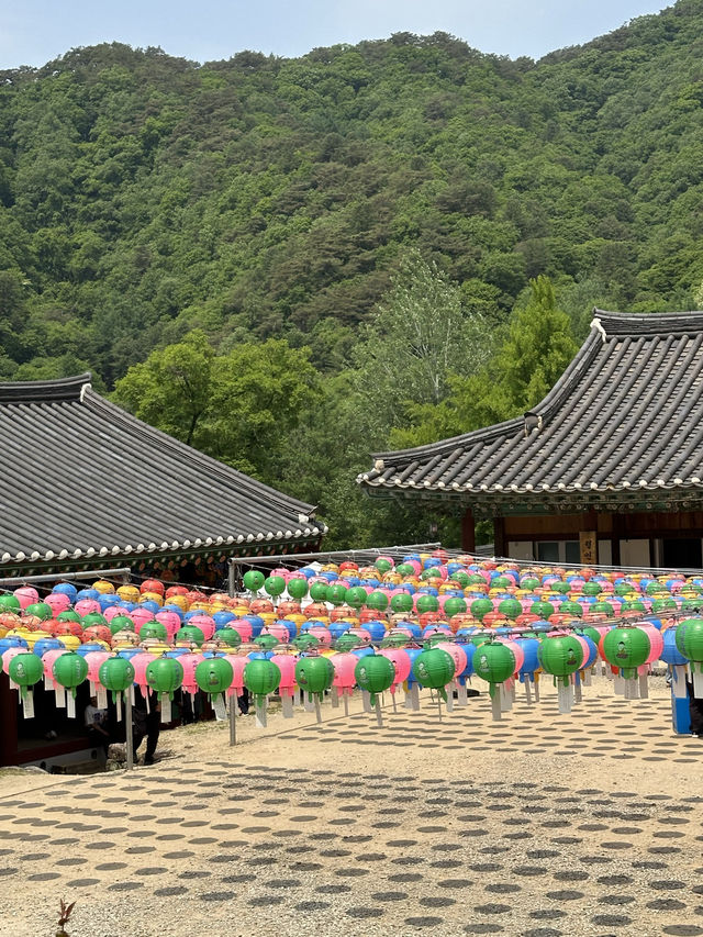 여름을 담은 자연을 마음껏 느껴보실 수 있는 😎강원도 홍천 아름다운 사찰여행