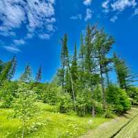 Kanayamako RV Park: Nature's Retreat